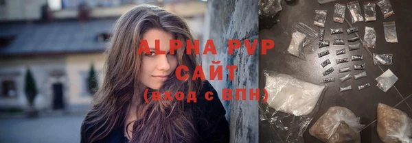 стаф Анжеро-Судженск