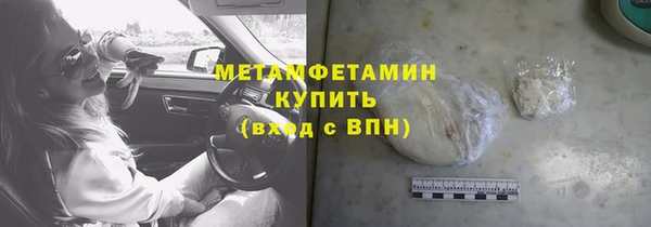 прущие грибы Медвежьегорск