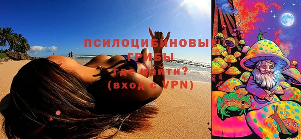 прущие грибы Медвежьегорск
