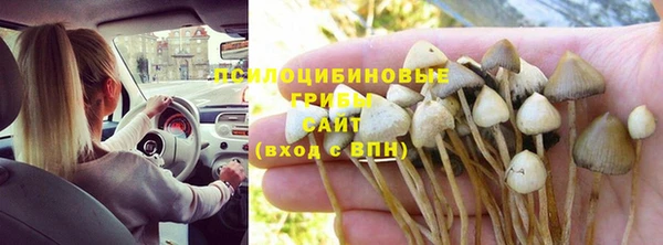 дистиллят марихуана Медногорск