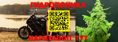 ПСИЛОЦИБИНОВЫЕ ГРИБЫ Славгород