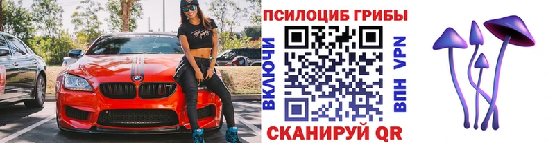 где можно купить наркотик  Тутаев  blacksprut ссылки  Псилоцибиновые грибы MAGIC MUSHROOMS 