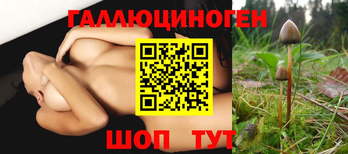 Тутаев  магазин продажи наркотиков  Вход с VPN  Псилоцибиновые грибы мухоморы 